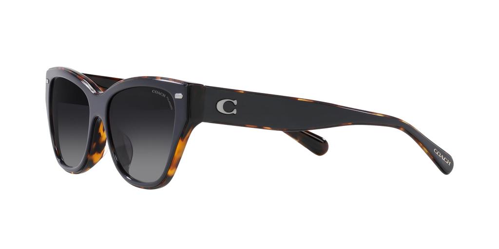 Sunglasses HC8370F CH660 TORTOISE GRADIENT POLAR Lens 56 [Coach] BLACK/DARK Frame/GREY