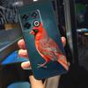 Милые Птицы Колибри Чехол Для OnePlus 13R 13 12 R 11 9 10 Pro 8T 9RT 10T OnePlus Nord CE 4 2 3 Lite N20 N30