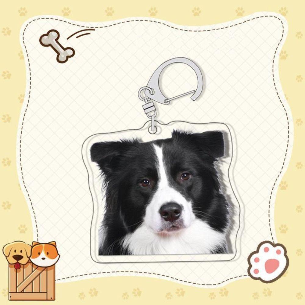Samoyed Labrador Puppy Pendant Husky Acrylic Corgi Keyring Border Collie Dog Keychain  Unisex