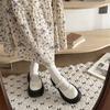 Black French Retro Thick Heel Platform Small Leather Shoes Women's 2025 New Spring and Autumn Round Head Shallow Mouth Mary Jane Single Shoes
