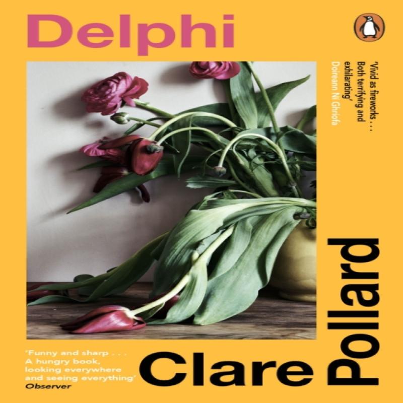 Delphi by Clare Pollard Paperback Book 9780241995266