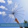 EVO Custom Transparent Eco-Friendly Automatic Umbrella with Long Handle - Perfect for Advertising and Gifts