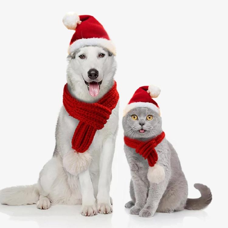 Small Dog Santa Hat with Scarf Christmas Cats Costume Halloweens Pet Costume for Party Make Up