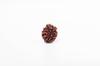 Natural 3 Mukhi Rudraksha Bead | Certified Authentic Rudraksha for Spiritual Growth | Genuine Sacred Bead for Meditation & Healing