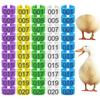 100pcs Plastic Poultry Leg Tags Mixed Colour Bird Leg Sign Rings  Poultry Accessories