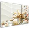 Three Piece Picture Canvas Print Starfish and Shells