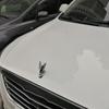 Hood Ornament Wings Angel Wings Metal Car Front Bonnet Stand 3D Car Modification Accessories For All Types Of Cars Bonnet Motorc