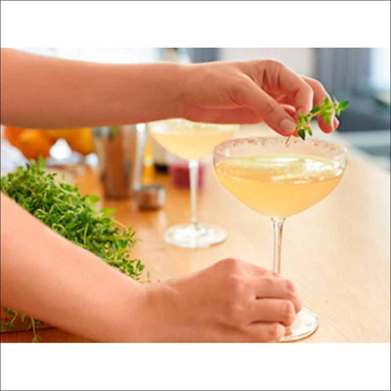 Teazen Комбуча Корейская Слива 10 шт + Клубника Киви 10 шт + Малина 10 шт + Зеленый Мандарин Лайм 10 шт