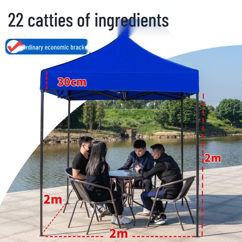 ZISIZ 2x2m Lightweight Folding Outdoor Canopy