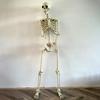 Skeleton Decoration Realistic Full-Body Skeleton for Outside Decorative Party Supplies Outdoor Decorations for Garden Backyard
