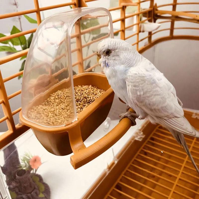 Parakeet Food Dispenser No Mess Plastic Parrot Feeder with Perch Cage Accessories for Small Bird Cockatiel Finch