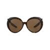 Солнцезащитные очки Balenciaga Oval Frame Acetate Havana Black Brown