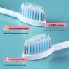 ETRAVEL Yilv 2-in-1 Mini Folding Orthodontic Travel Toothbrush and Toothpaste