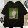 Смешная кошка-мем Meowl Футболка с кошкой Кошачья футболка-мем Кот и сова Мозговая гниль Meowl Футболка Неадекватный котенок 90-х Графическая футболка Унисекс