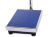 Platform Scale 30X40 100 (1)