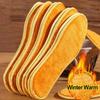 1 Piece of Warm Insole Suitable for Shoe Wool Thickening, Warm and Soft Insole, Breathable and Skin Friendly Insole Suitable for Winter Foot Care