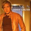 CD ANDREW CARLTON - Falling In  824973600520 Flying Leap Rec 2004 US Rock Used