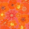 Oilily T shirT paTTern owgsaTs017