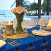 Wear-Resistant Graduation Tablecloth PE Material Disposable Table Cover Table Runner  Class of 2026