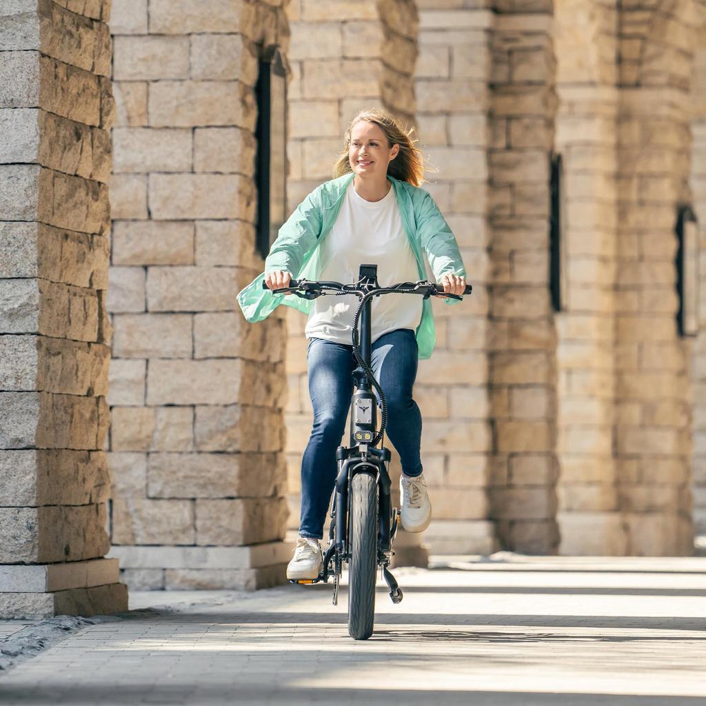 Engwe Электровелосипед L20 3.0 boost: 250 Вт мотор-колесо, 648 Втч батарея для поездок на 135 км, в паре с 7-скоростной Shimano и полной подвеской