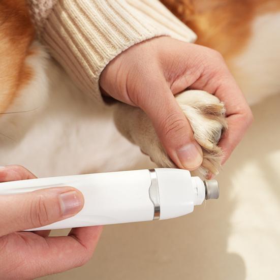 Машинка для стрижки собак, набор для груминга с когтерезкой 4 в 1, беспроводной электрический триммер для собак, кошек, малошумная USB-зарядная бритва для лап домашних животных