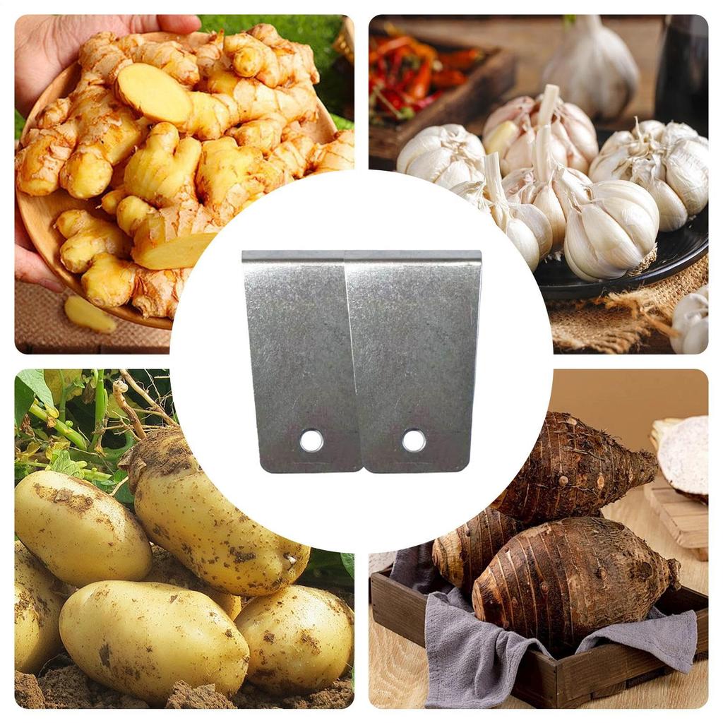 Vegetable Ginger Peeler Skin Remover for Kitchen Fruit Carrot Veggie Potatoes Simple Stainless Steel Peelers Appliances 6