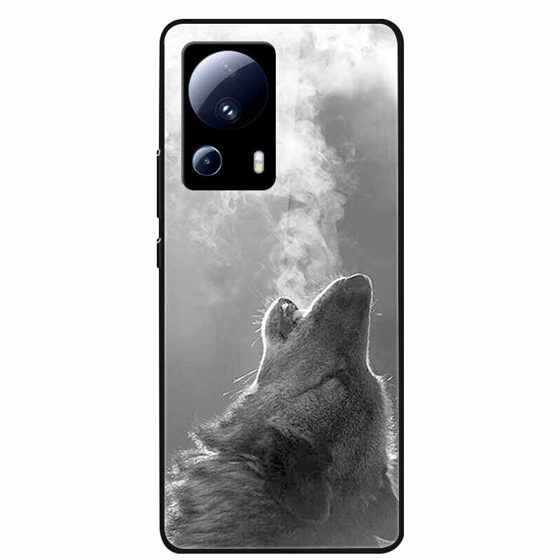 For Xiaomi 13 Lite 5G Case Tempered Glass Hard PC Back Cover For Xiaomi 13 Lite 2023 Phone Cases Mi 13Lite Silicone Bumper Capas