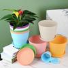 8 шт./комплект Конфетный цвет Горшок для растений Пластиковые горшки для рассады Горшки для питомника Горшки с растениями Сад В помещении