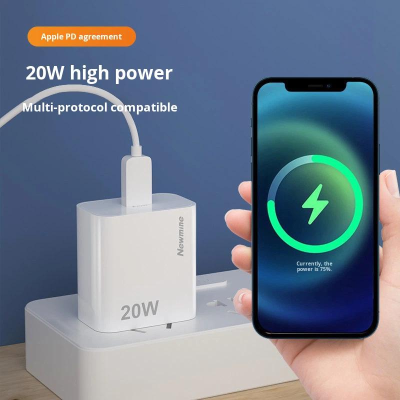 Newman PD Super Fast Charging 20W Universal Multi-port USB-A/Type-C Data Cable & Charger for Mobile Phones