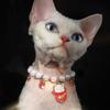 Adjustable Pet Collar Princess Cat Jewelry Exquisite Cat Pearl Necklace Cat and Dog