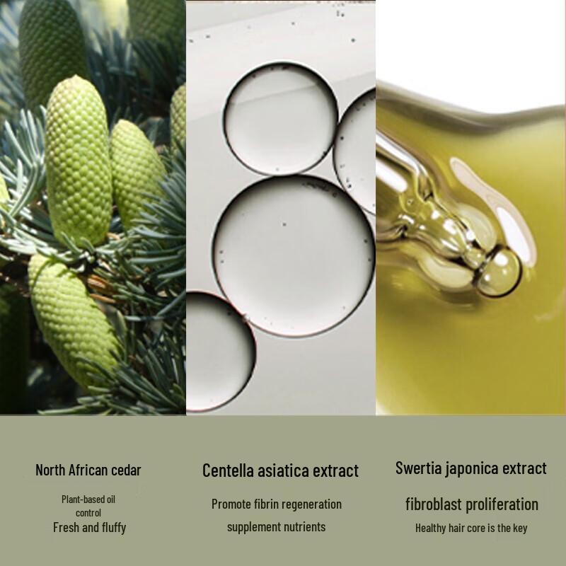 Pote Oil Control Shampoo & Body Wash Set