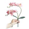 Artificial Butterfly Orchid Silk Flower Phalaenopsis Bouquet Home Wedding Decor