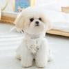 Three-dimensional Flower Forest Fairy Dress White Dog Skirt Small Dog Than Panda Spring and Summer Pet Clothes
