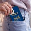 Botswana Flag Phone Case For IPhone 18 17 Air 15 16e 14 13 Pro Max Coque 12 11 Pro Max PLUS cover