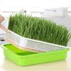 Home Garden Nursery Paper Hydroponic Tray Sprout Pot Plant Box Grow Nursery Pots Seed Sprouter Tray