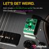 Olinthus Cicada Overdrive Effects Pedal [Includes Input and Output Breakout Cables] [Official Japanese Product]