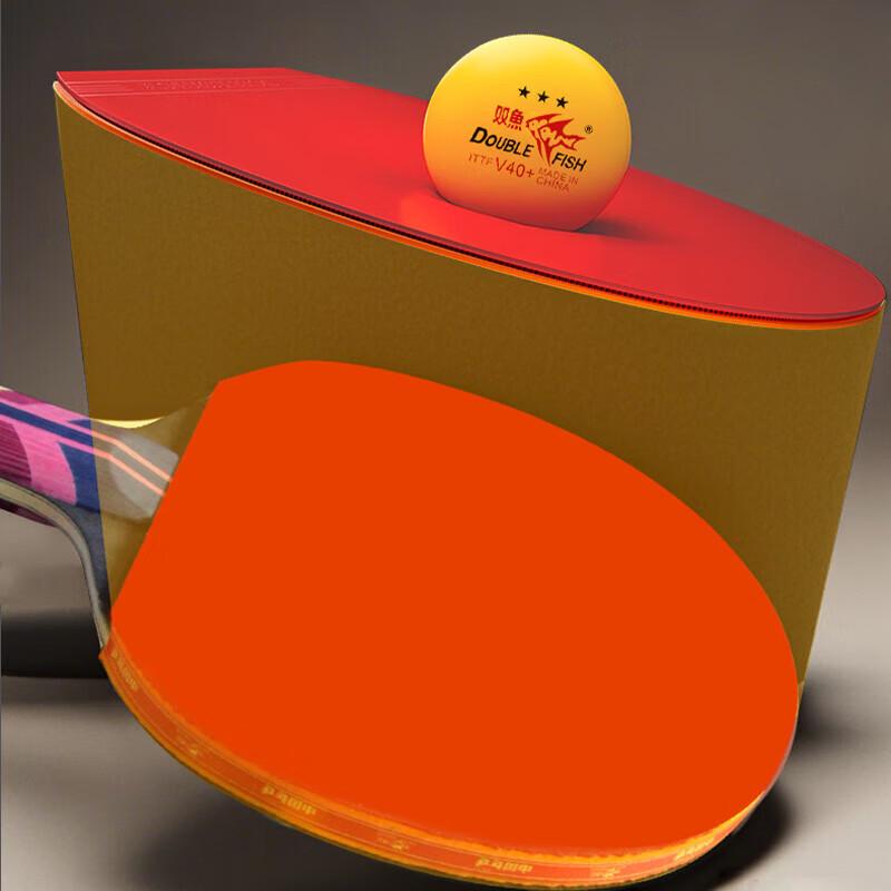 Double Fish Professional Training Table Tennis Bat