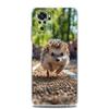 Phone Case For Xiaomi Redmi Note 14 13 12 4G 9S 9 10 11 Pro Plus 5G 14C 13C 12C 10C 9A Clear Soft TPU Cover Cute Little Hedgehog