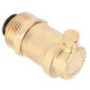 Air Release Valve G1 DN25 Male Thread Automatic Vent Valve for Air Conditioner Solar Water Heater