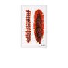 Waterproof Bruise Scab Scar Tattoo Sticker Eyeball Bloody Makeup Body Art Scar Decals  Men Women