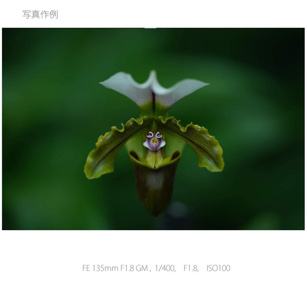 Sony Telephoto Single Focus Lens Full Size FE 135mm GM G Master Genuine Lens for Digital Single Lens Camera SEL135F18GM F1.8 [E Mount]