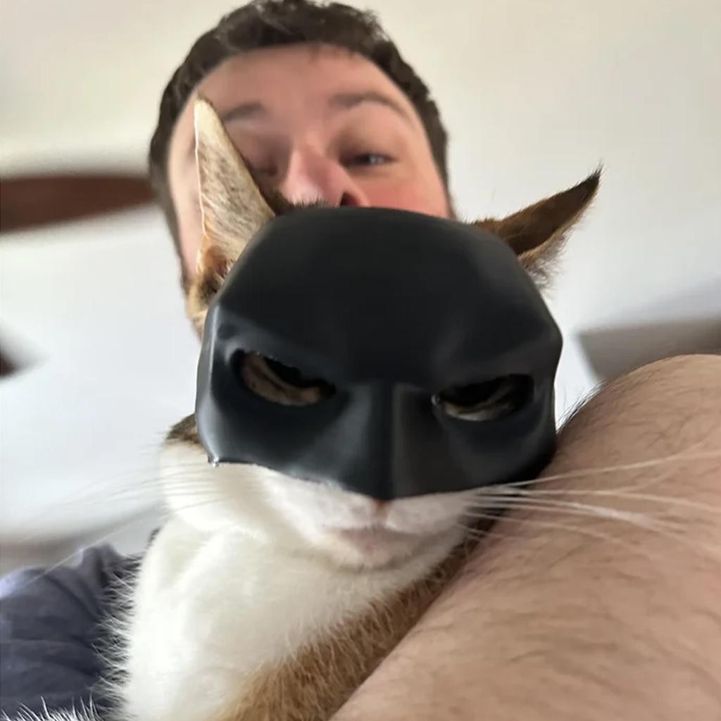 Bat-Cat - Маска летучей мыши Маска кошки