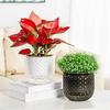 1шт двухслойные пластиковые мини настольные украшения горшок декоративные аксессуары цветочная композиция сплошной цвет 3 цвета