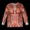 Забавные 3D-графики мышц, футболки, топы для мужчин, косплей, большие мышцы, длинные рукава, мужская футболка, повседневные топы, женская одежда, футболки