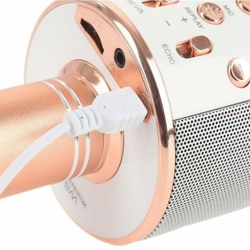 Bluetooth Microphone Wireless Professional Condenser Karaoke Mic Stand Radio Microphone Recording Studio Microphone