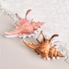 2025 УФ-печать Зажим-краб в виде раковины: Летний аксессуар для волос в океанском стиле для высокой прически