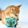 Pet Interactive Toys Cartoon Ball Dog Toy Pet Chewing Toys Training Decompress Bite Resistant Plush Dog Toys Pet Supplies