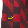 Puma Мужская футболка RC Lens 24/25 769466-14