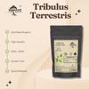 Экстракт травы Трибулус Террестрис Порошок Растительная добавка