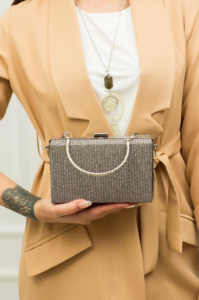 Women's Stylish and Useful Evening Dress Bag Women's Platinum Silvery Evening Dress Bag